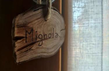 Agriturismo Corte Degli Ulivi - Foto 56