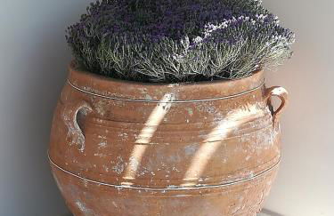 Ktima Grammeno Beachside Villa - Photo 64