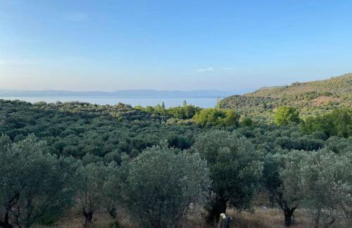 Pinelopis House, Skala Sikamineas, Molivos, Mytilene - Photo 44