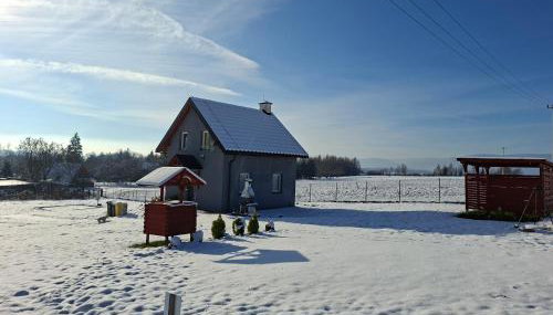 Idzikowianka - Foto 3