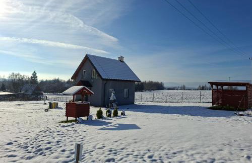 Idzikowianka - Foto 3