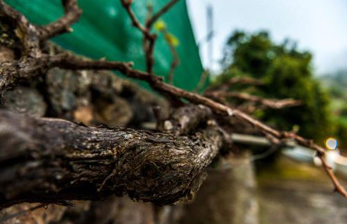 Villa Finca Los Castanos - Panoramic View - Foto 55