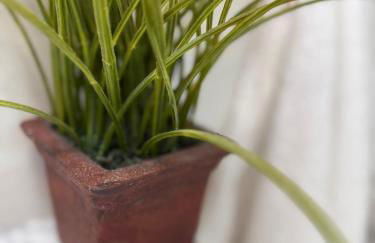 Coconut Trail Resort Unit - Foto 11