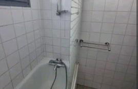 VUE PANORAMIQUE SUR LES PYRÉNÉES - Photo 13