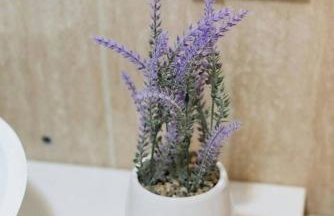 Carlina by Cardi Suites - Foto 24