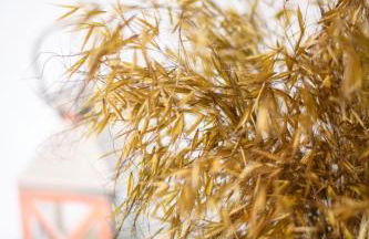 Gerês Country Stays- FLOR - Comfort and tranquility with a stunning view - Foto 8