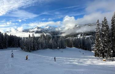 Tonale Ski-in AlpView Studio - Foto 30