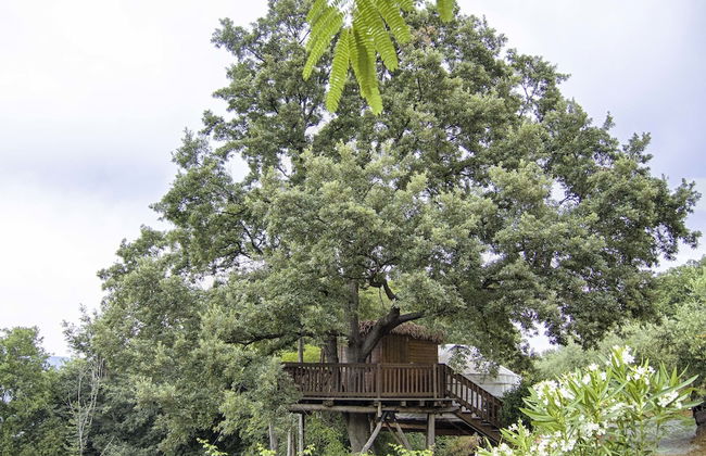 Agriturismo Fattoria La Prugnola - Foto 30