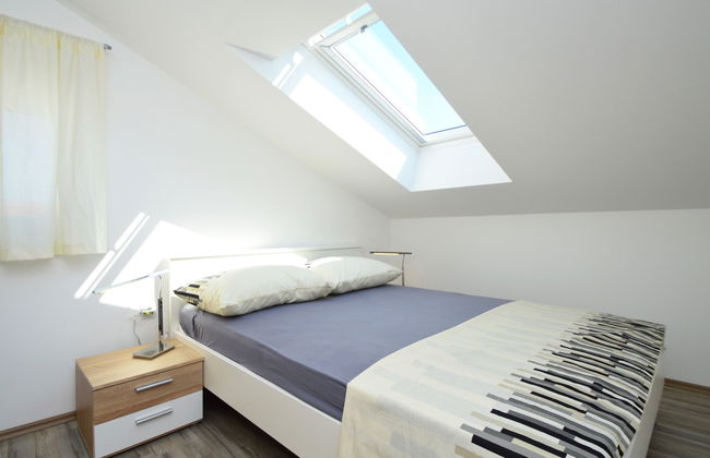 Sun seeker - Photo 8