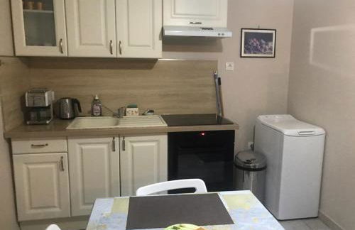 Maison à Orléans avec jardin - Photo 6