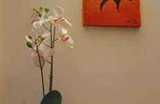 Casetta Angie - Foto 25