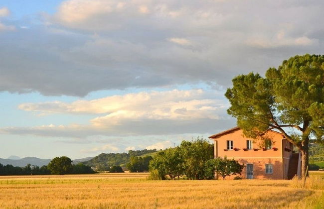 Agriturismo Pian del Tevere - Foto 32