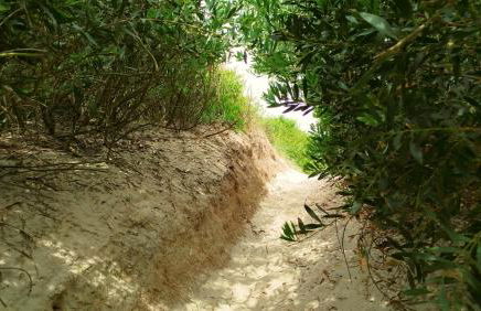 Torreira Beachside House - Foto 28