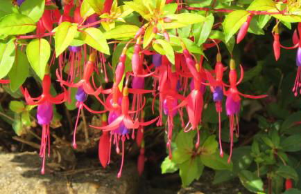 Birchcroft Hideaway - Photo 41