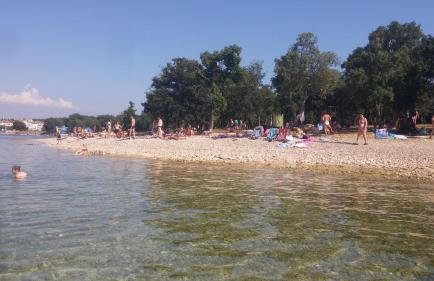 Studio-apartman Ella - Foto 13