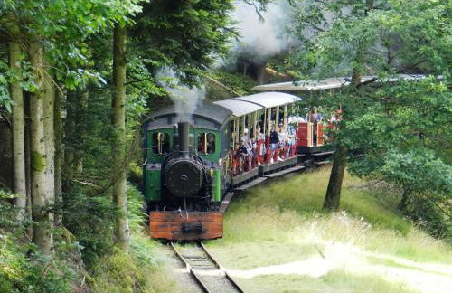 Le chalet de Rothenbuhl - Photo 22