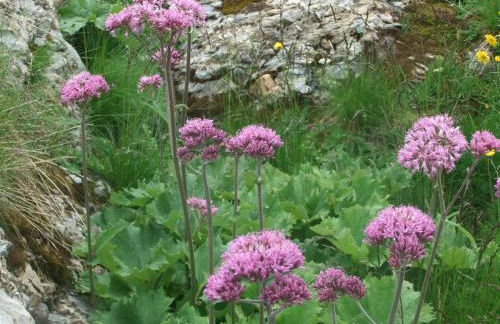 Gîte Les Grands Champs - Foto 19