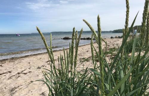 Hein Muck Modern Retreat - Foto 39