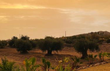 RenBeck lets 2 - Foto 13