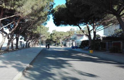 Casa vacanza S'Istella iun Q2451 - Foto 13