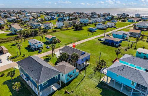 The Purple Pelican - Photo 38