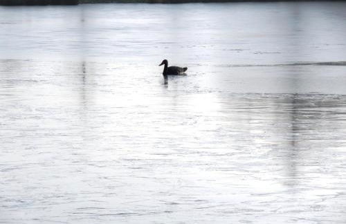 Ferienwohnung Uchte - Photo 71