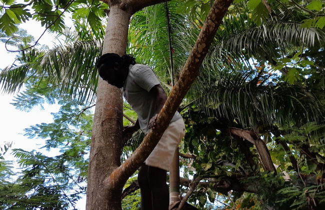 Blue Turquoise Sea Villa - Photo 25