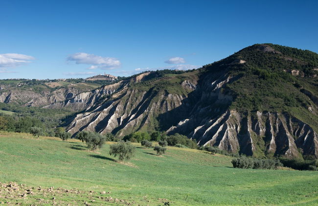 Società Agricola Zucchera S.S. - Foto 11