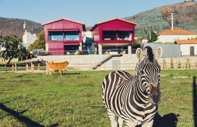 Quintãs Farm Houses - Foto 40