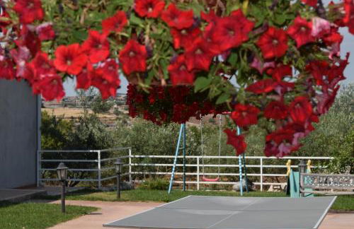 Azienda Agrituristica e Didattica CrauNari - Foto 61