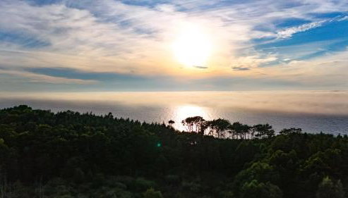 Willa Świerkowa - Foto 3