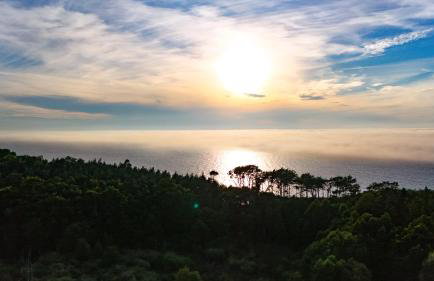 Willa Świerkowa - Foto 3