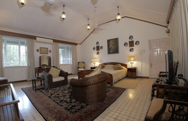 Wild Mahseer - Foto 7