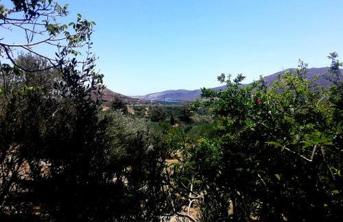 Sunrise Apartments - Photo 46