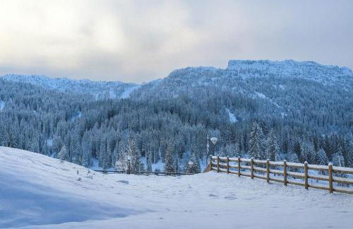 Chalet Campiglio Mountain View - Guardabassi Collection - Foto 2