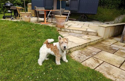 1 Bed in Withypool oc-s29887 - Foto 20