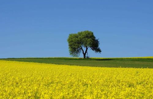 One-bedroom apartment - Foto 21