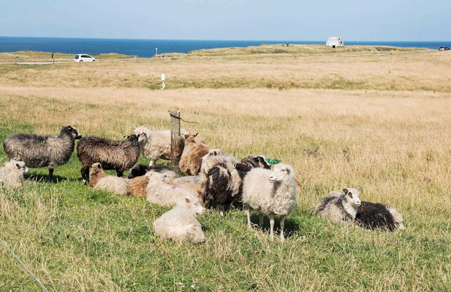 4 Person Holiday Home in Lemvig-by Traum - Foto 7