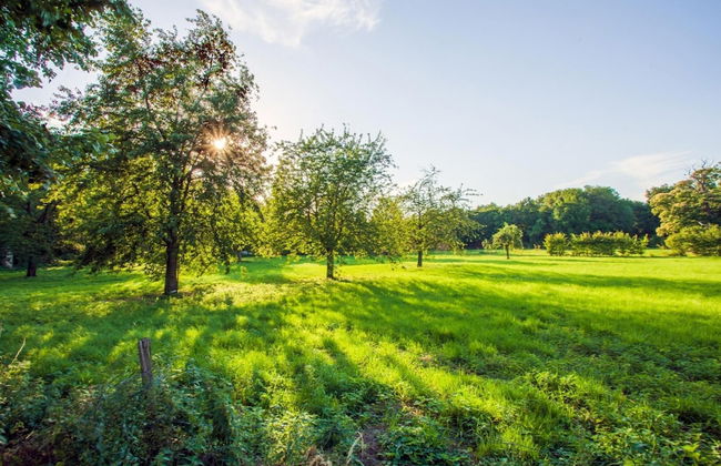 Charming Villa Near Maastricht and Hillside - Foto 44