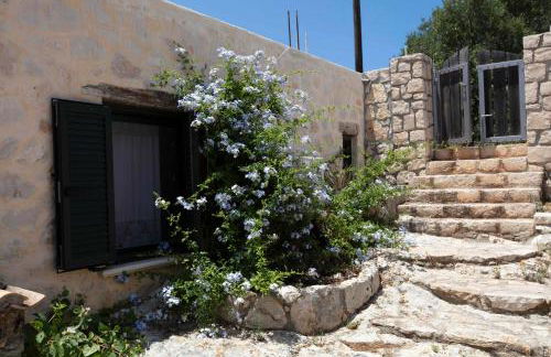 Anemos Studio - Foto 107