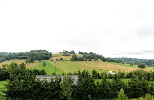 Blisko Lasu - Foto 50