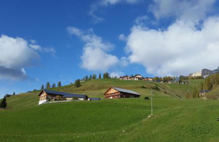 Family and Wellness Residence Ciasa Antersies - Photo 20