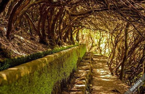 Vila Feliz - Photo 21