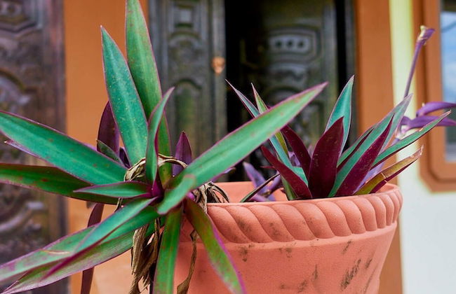 INDIGO COTTAGE - Foto 55