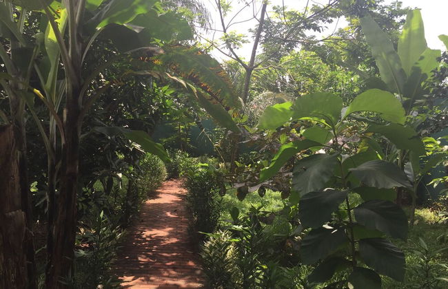 Amadi Villa - Photo 29