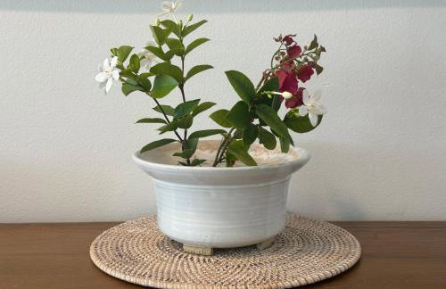 Retreat with Salt Water Heated Pool & Spa - Foto 25