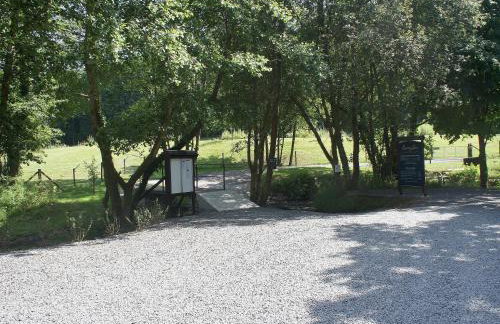 Kingfisher - 30788 - Foto 7