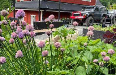 Wioska w Sowich Sokolec - Foto 45