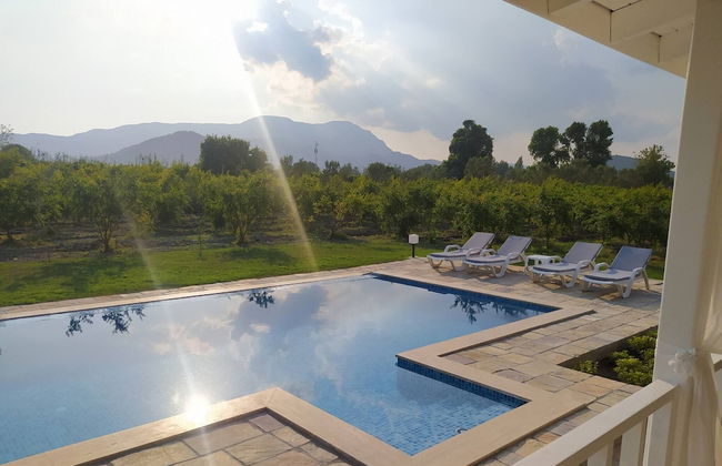 Villa in a Pomagranate Orchard - Foto 21