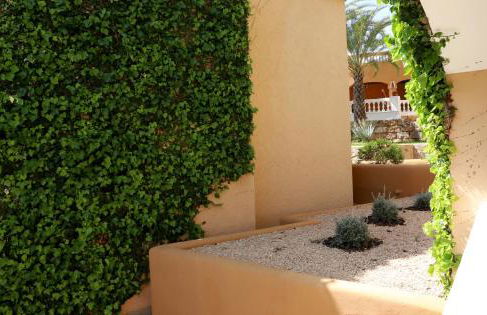 Aldea 2 Cala Fornells - Foto 24